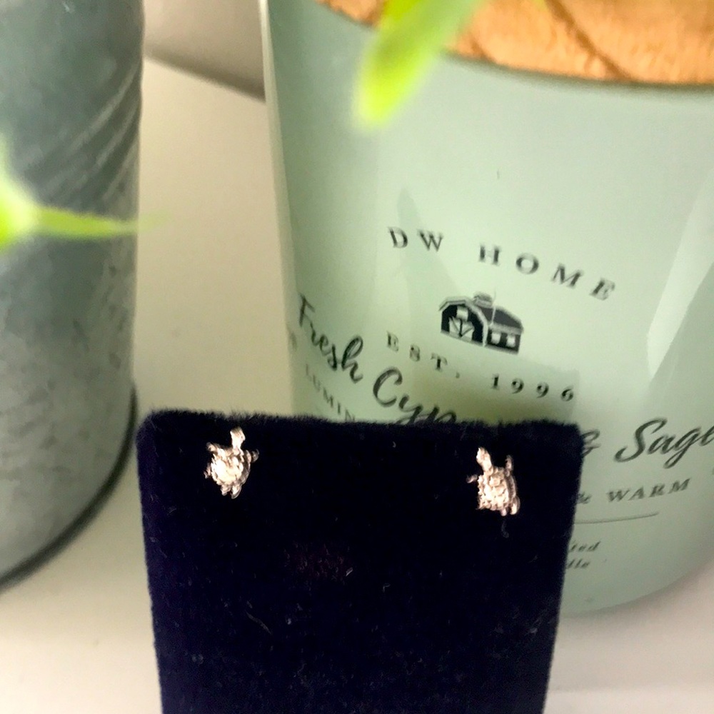 Sterling silver little turtle earrings